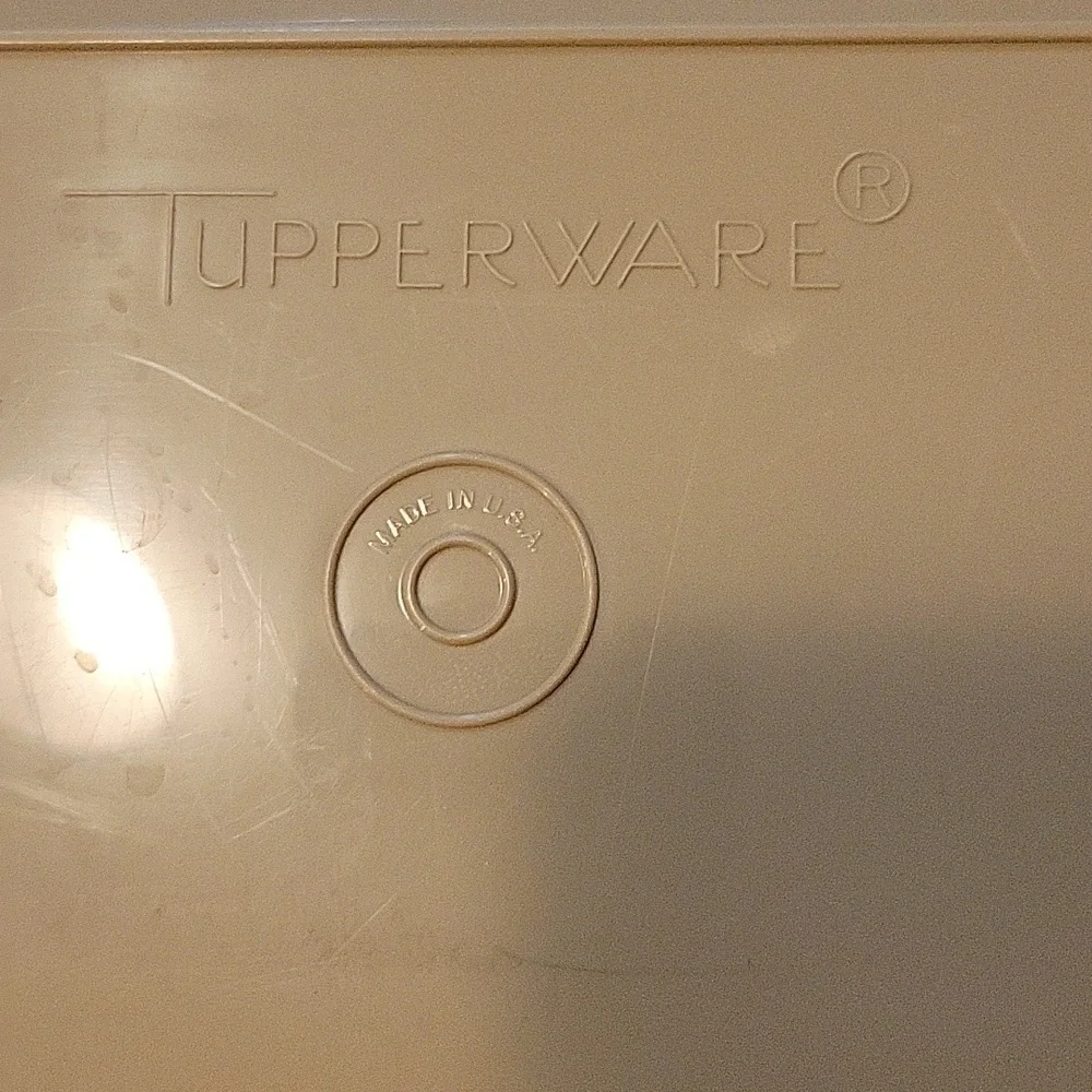 Tupperware durable container